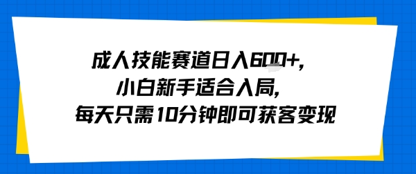 成人技能赛道日入多张,小白新手适合入局,每天只需10分钟即可获客变现-赛德副业库