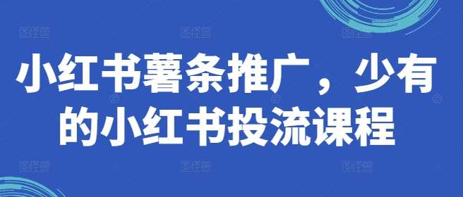 小红书薯条推广,少有的小红书投流课程-赛德副业库