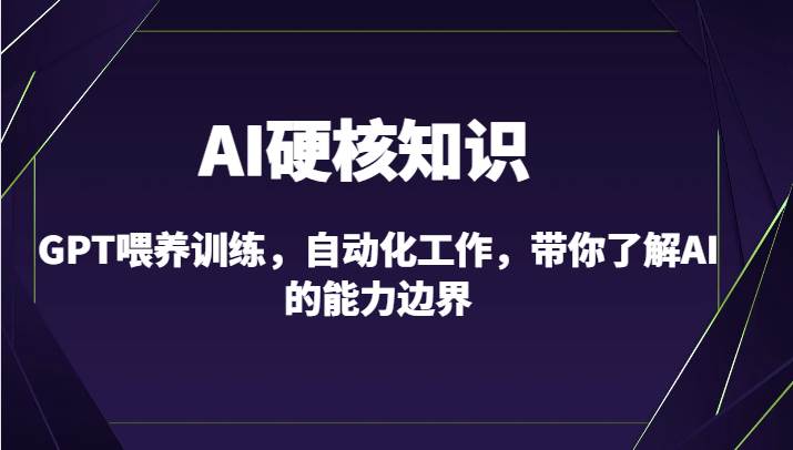 AI硬核知识-GPT喂养训练，自动化工作，带你了解AI的能力边界（10节课）-赛德副业库