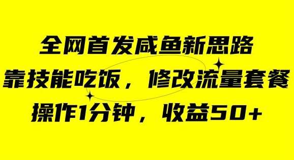 咸鱼冷门新玩法,靠“技能吃饭”,修改流量套餐,操作1分钟,收益50【揭秘】-赛德副业库