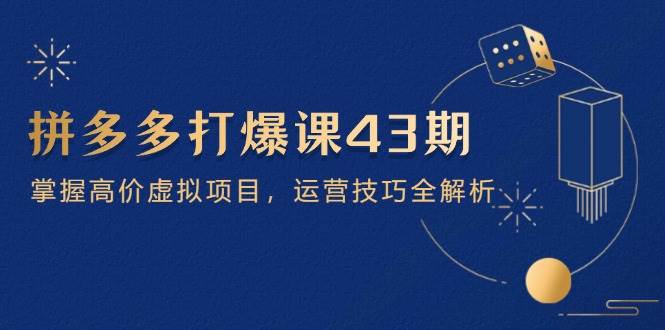 (14546期)拼多多打爆课第 43 期,掌握高价虚拟项目,运营技巧全解析(15节)-赛德副业库