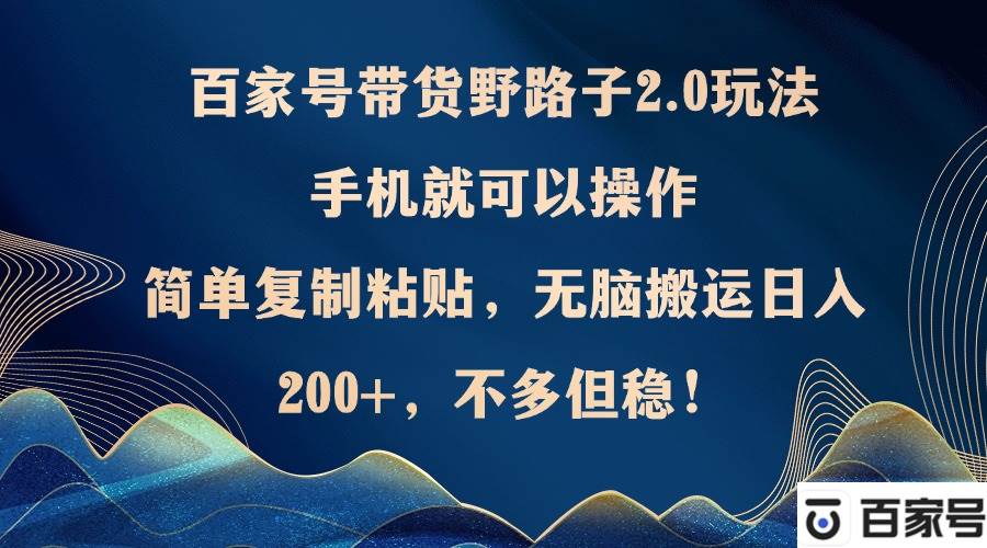 (12804期)百家号带货野路子2.0玩法,手机就可以操作,简单复制粘贴,无脑搬运日...-赛德副业库