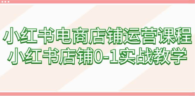 （9249期）小红书电商店铺运营课程，小红书店铺0-1实战教学（60节课）-赛德副业库