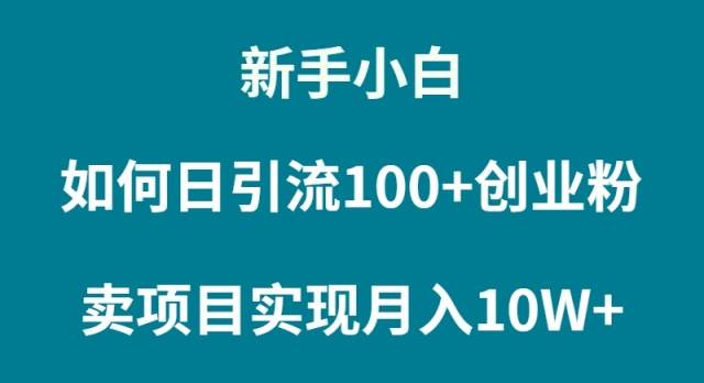 （9556期）新手小白如何通过卖项目实现月入10W+-赛德副业库