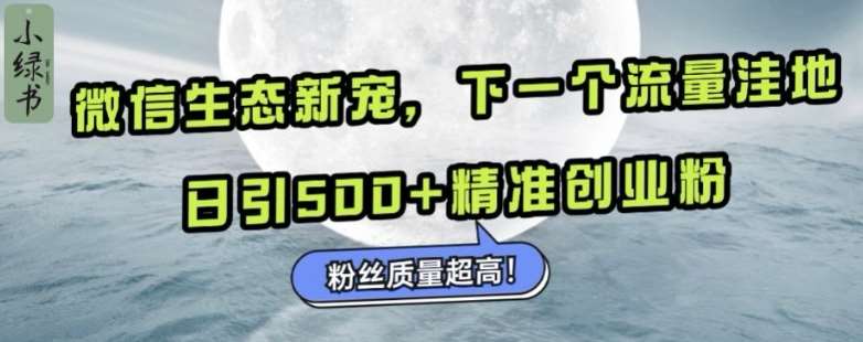 微信生态新宠小绿书：下一个流量洼地，日引500+精准创业粉，粉丝质量超高-赛德副业库