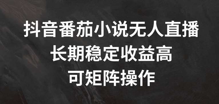 抖音番茄小说无人直播，长期稳定收益高，可矩阵操作【揭秘】-赛德副业库