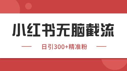 小红书只要你有同行就能获客,独家野路子获客玩法,暴力截流【揭秘】-赛德副业库