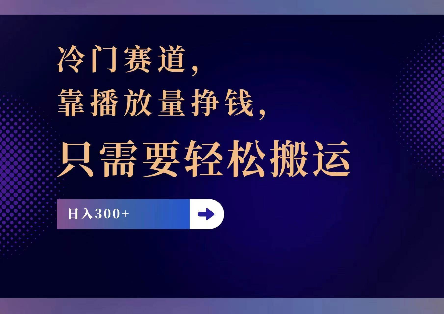 （11965期）冷门赛道，靠播放量挣钱，只需要轻松搬运，日赚300+-赛德副业库
