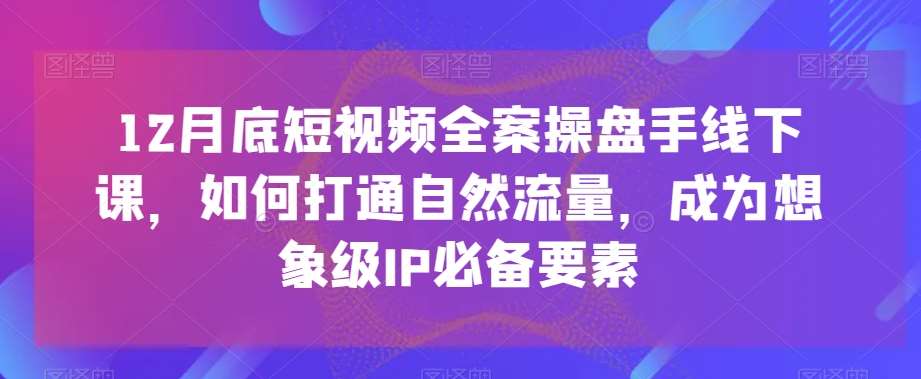 12月底短视频全案操盘手线下课，如何打通自然流量，成为想象级IP必备要素-赛德副业库