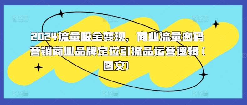 2024流量吸金变现,商业流量密码营销商业品牌定位引流品运营逻辑(图文)-赛德副业库