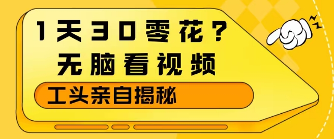1天30零花？无脑看视频，大佬亲自揭秘-赛德副业库
