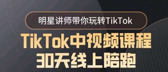 TikTok中视频课程30天线上陪跑，明星讲师带你玩转TikTok-赛德副业库