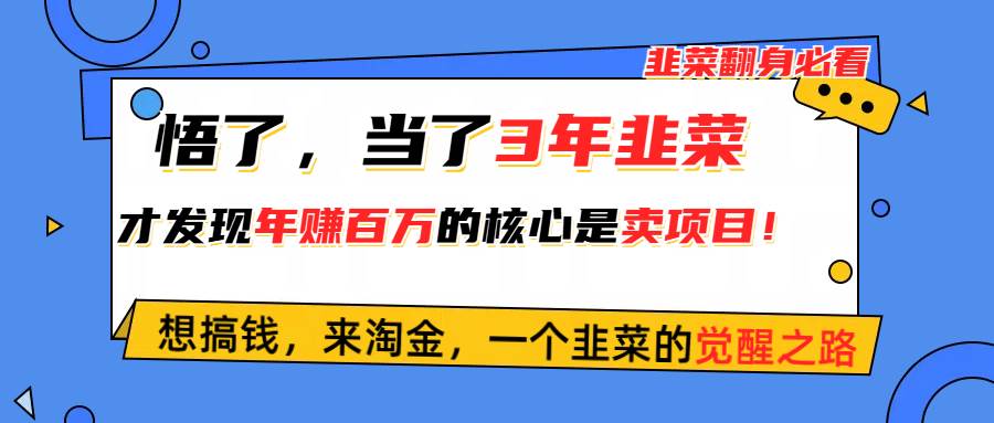 (10759期)悟了,当了3年韭菜,才发现网赚圈年赚100万的核心是卖项目,含泪分享!-赛德副业库