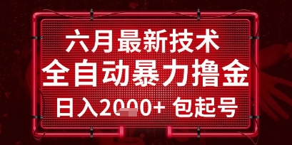 六月最新技术全自动暴力撸金，稳定日入2k+包起号，长期稳定【揭秘】-赛德副业库
