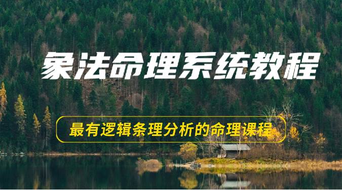 象法命理系统教程,最有逻辑条理分析的命理课程(56节)-赛德副业库