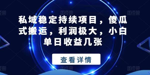 私域稳定持续项目，傻瓜式搬运，利润极大，小白单日收益几张【揭秘】-赛德副业库