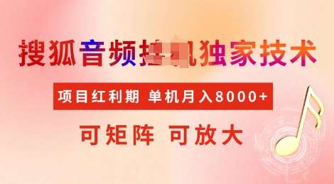 全网首发搜狐音频挂JI独家技术,项目红利期,可矩阵可放大,稳定月入8k【揭秘】-赛德副业库
