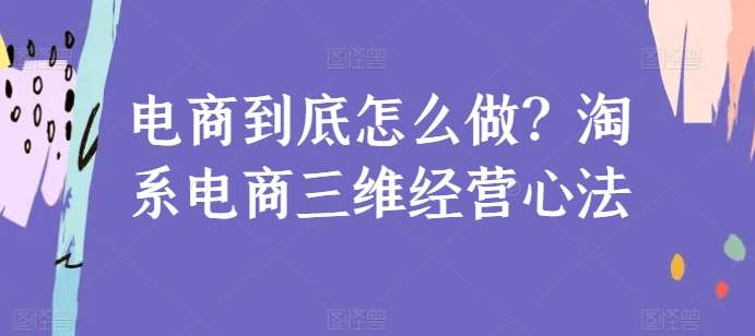 电商到底怎么做？淘系电商三维经营心法-赛德副业库