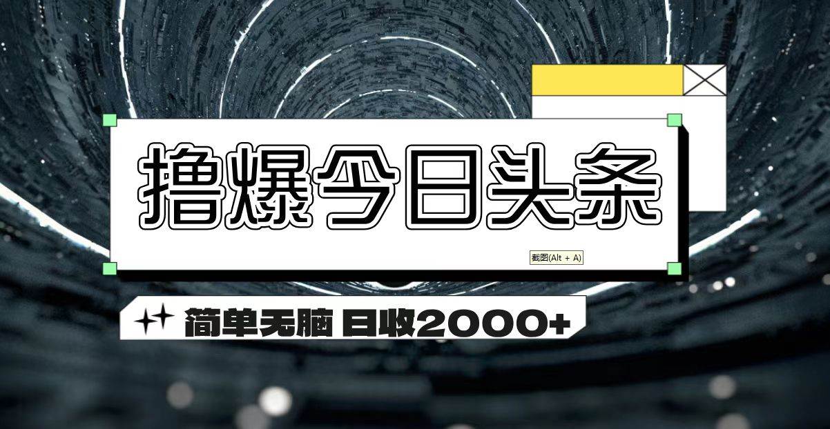 （11665期）撸爆今日头条 简单无脑操作 日收2000+-赛德副业库