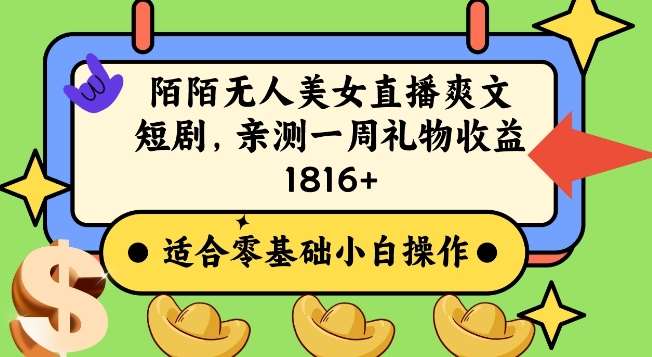 陌陌美女无人直播爽文短剧项目，亲测一个星期1800+【揭秘】-赛德副业库