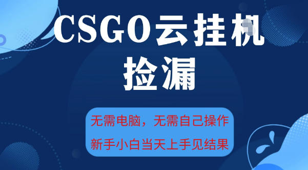 CSGO云挂G全自动捡漏,最新独家玩法,无需电脑操作,新手小白日入5张+【揭秘】-赛德副业库