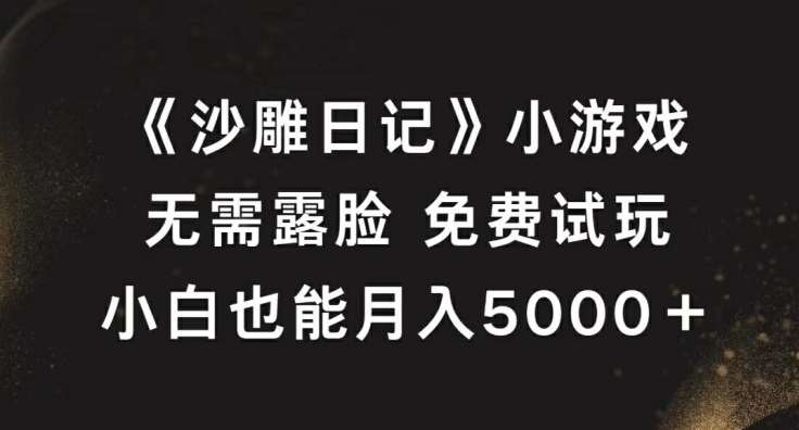 《沙雕日记》小游戏，无需露脸免费试玩，小白也能月入5000+【揭秘】-赛德副业库