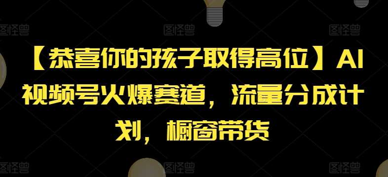 【恭喜你的孩子取得高位】AI视频号火爆赛道，流量分成计划，橱窗带货【揭秘】-赛德副业库