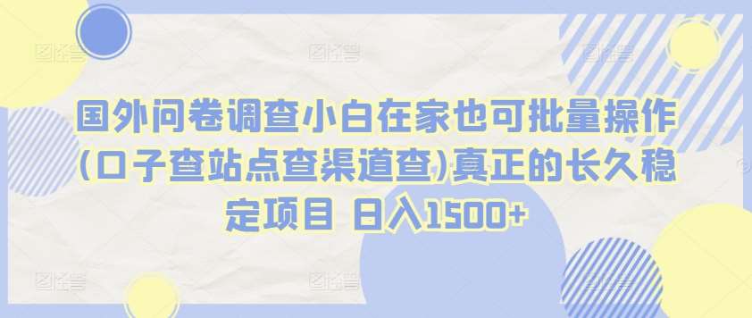 国外问卷调查小白在家也可批量操作(口子查站点查渠道查)真正的长久稳定项目 日入1500+【揭秘】-赛德副业库