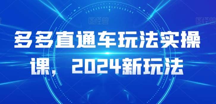 多多直通车玩法实操课，2024新玩法-赛德副业库