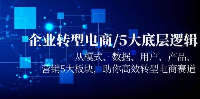 企业转型电商/5大底层逻辑,从模式 数据 用户 产品 营销5大板块,高效转型-赛德副业库