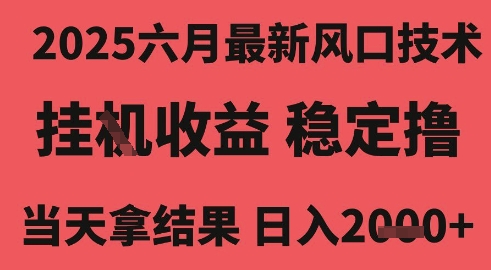 2025六月最新风口技术，无人挂G撸礼物，长期稳定 一个小时收益2k+，小白当天拿结果【揭秘】-赛德副业库