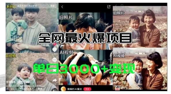 全网爆火的AI让老照片动起来教程，蹭热点日赚3k+，内含免费工具一键可生成【揭秘】-赛德副业库