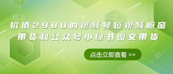 价值2980的视频号短视频橱窗带货和公众号小绿书图文带货-赛德副业库