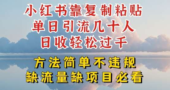 小红书靠复制粘贴单日引流几十人目收轻松过千，方法简单不违规【揭秘】-赛德副业库