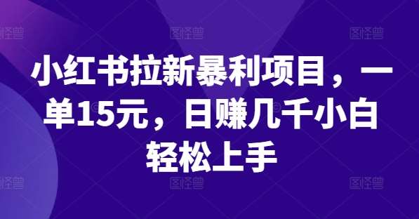 小红书拉新暴利项目，一单15元，日赚几千小白轻松上手【揭秘】-赛德副业库