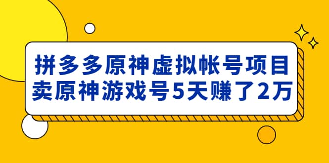 外面卖2980的拼多多原神虚拟帐号项目-赛德副业库