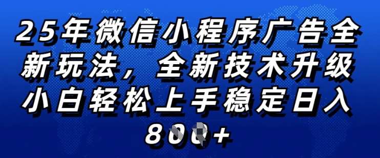 2025年微信小程序全新玩法纯小白易上手，稳定日入多张，技术全新升级，全网首发【揭秘】-赛德副业库