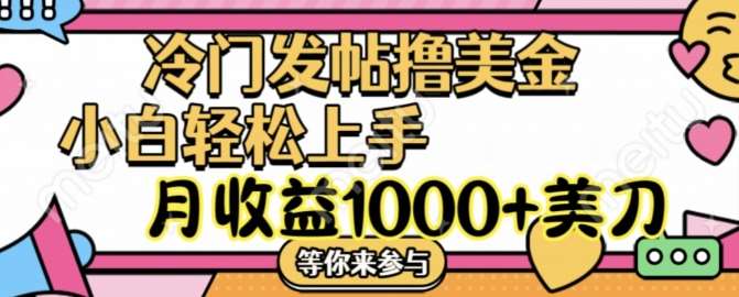 冷门发帖撸美金项目，月收益1000+美金，简单无脑，干就完了【揭秘】-赛德副业库