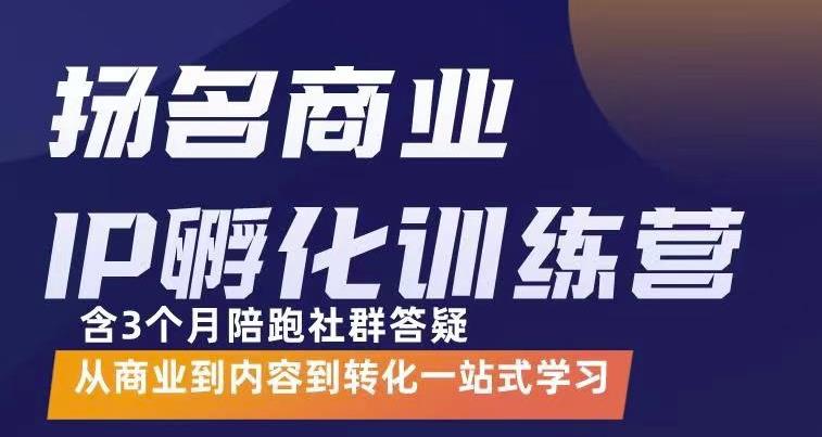 杨名商业IP孵化训练营,从商业到内容到转化一站式学 价值5980元-赛德副业库