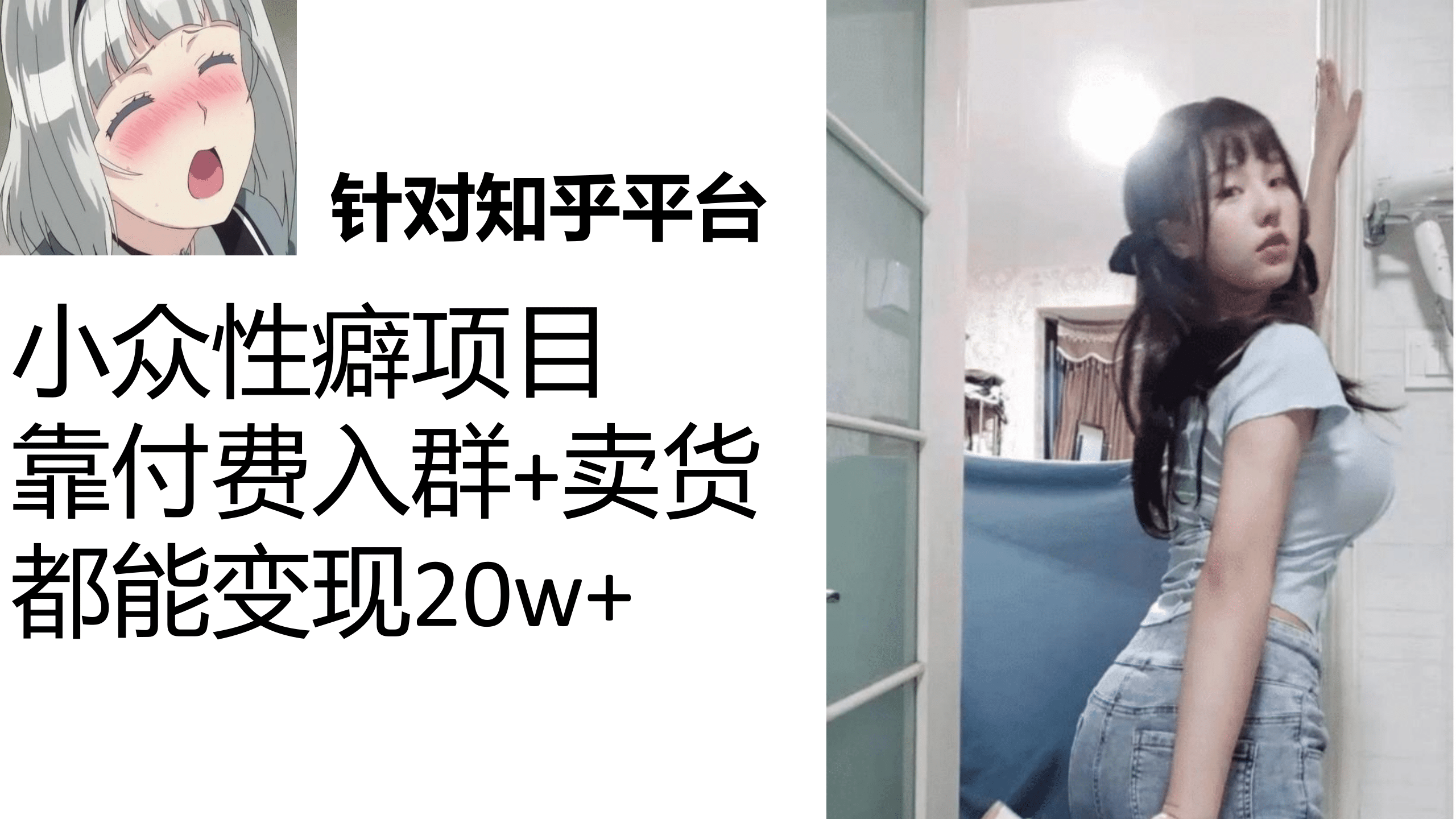 知乎小众性癖项目，Lsp的钱才是最好赚的，付费建群+卖货变现20w-赛德副业库