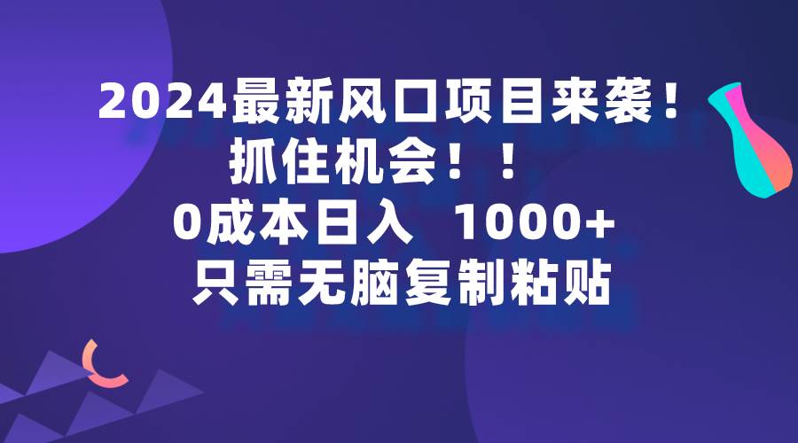 （9899期）2024最新风口项目来袭，抓住机会，0成本一部手机日入1000+，只需无脑复…-赛德副业库
