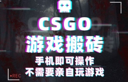 CSGO游戏挂G捡漏，单日扫货5张+，年底小高峰上车可吃肉，手机即可操作，兼职副业创业网创【揭秘】-赛德副业库