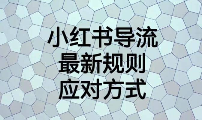 小红书导流最新规则应对方式【揭秘】-赛德副业库