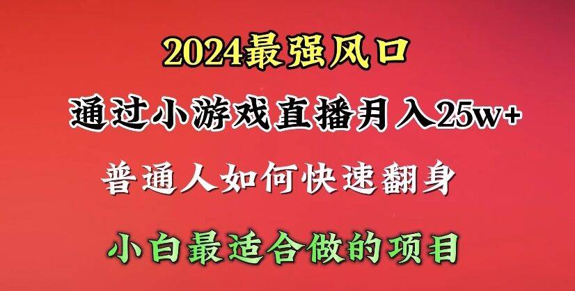 (10020期)2024年最强风口,通过小游戏直播月入25w+单日收益5000+小白最适合做的项目-赛德副业库