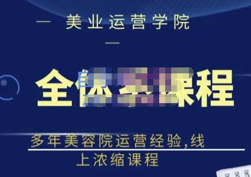 网红美容院全套营销落地课程，多年美容院运营经验，线上浓缩课程-赛德副业库