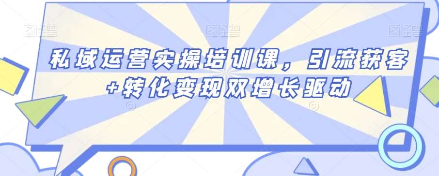 私域运营实操培训课，引流获客+转化变现双增长驱动-赛德副业库