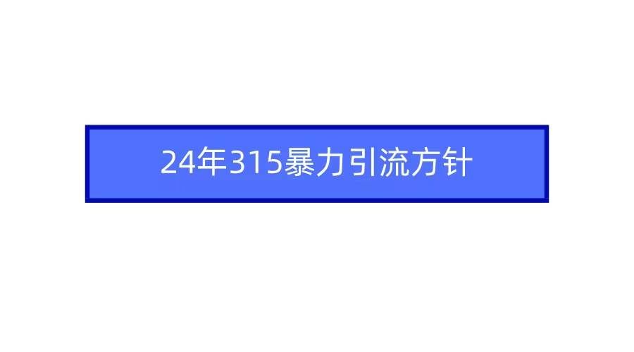（9398期）2024年315暴力引流方针-赛德副业库