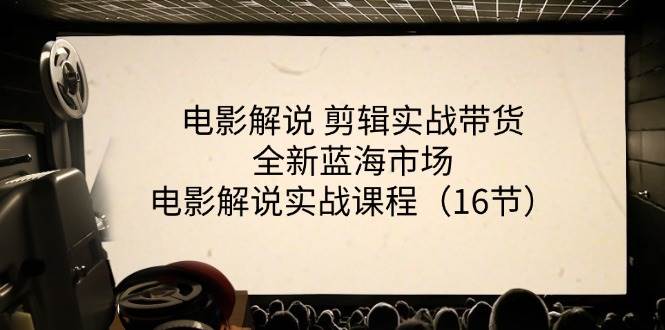 电影解说剪辑实战带货全新蓝海市场，电影解说实战课程（16节）-赛德副业库