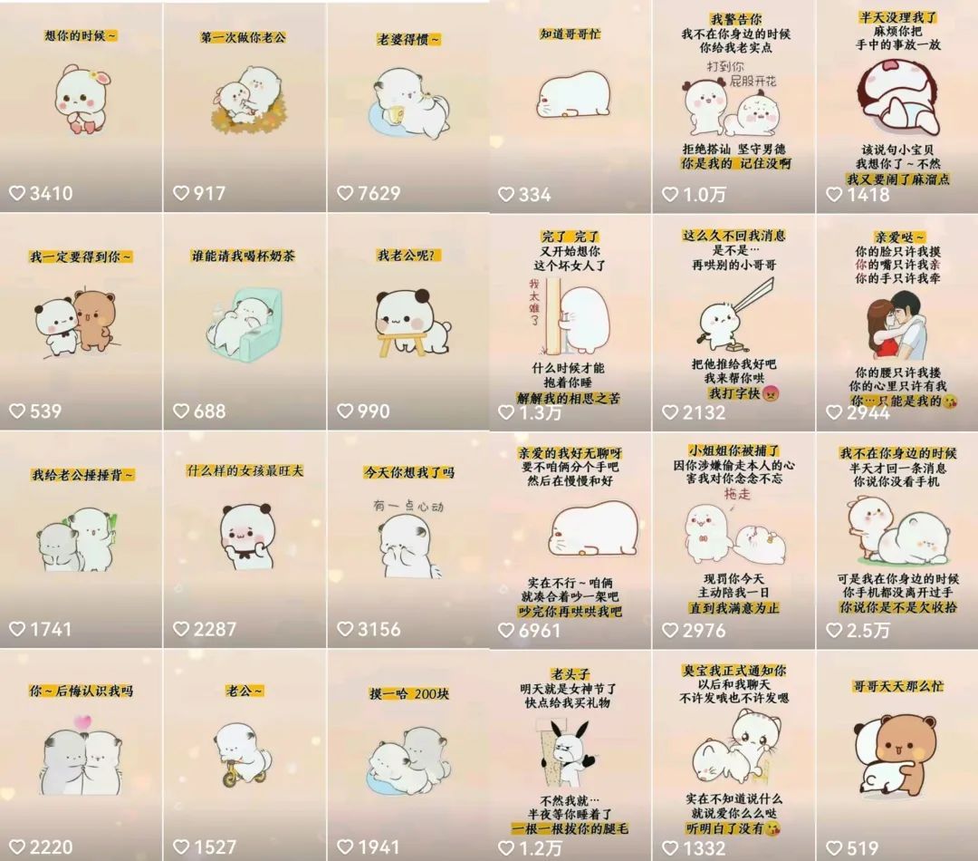 抖音表情包小程序变现项目，一条龙玩法详细大解析，视频版学习-赛德副业库