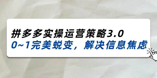 （11658期）2024_2025拼多多实操运营策略3.0，0~1完美蜕变，解决信息焦虑（38节）-赛德副业库